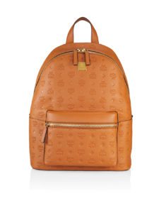 Luxury Designer Men's Backpacks From Louis Vuitton, Gucci, Frank Clegg –  Robb Report